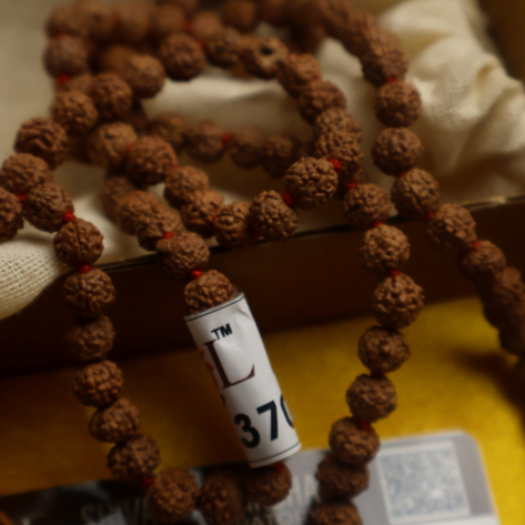 5 Face Rudraksha Mala – Lab Tested & Certified